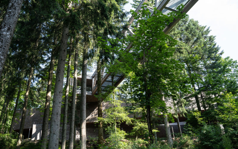 excursion-destination-forest-hotel-sommerberg-national-park-black-forest Ruhestein Nature Park Center